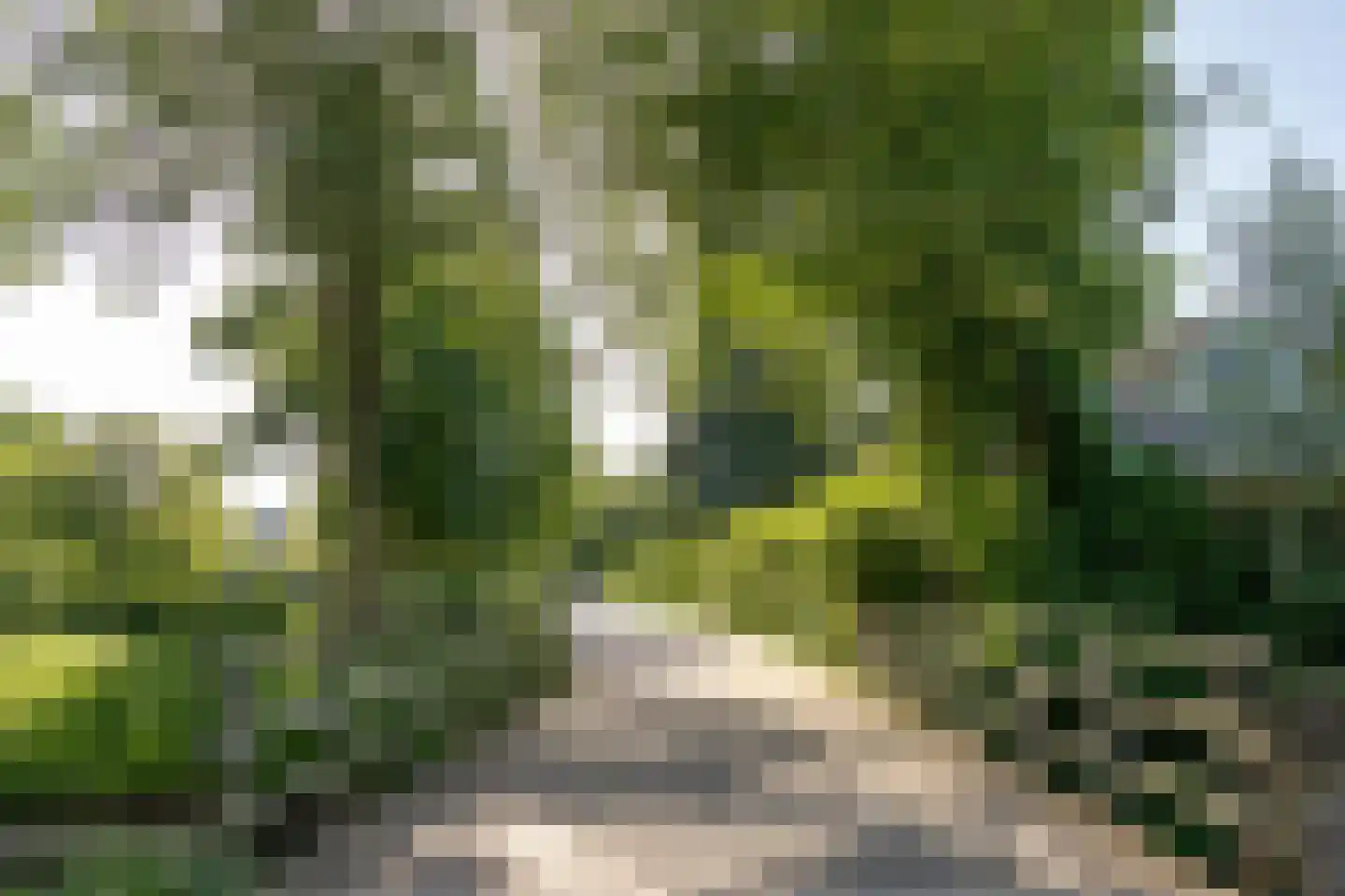 Wetering 73 Blaricum thumbnail 39