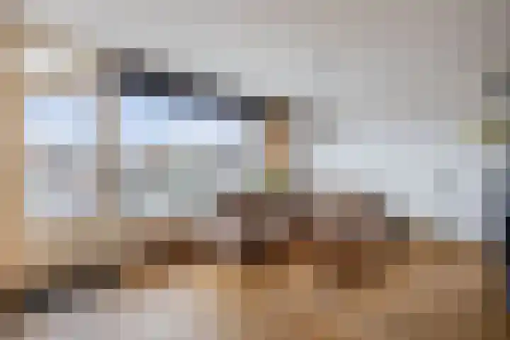Wetering 88 Blaricum thumbnail 12