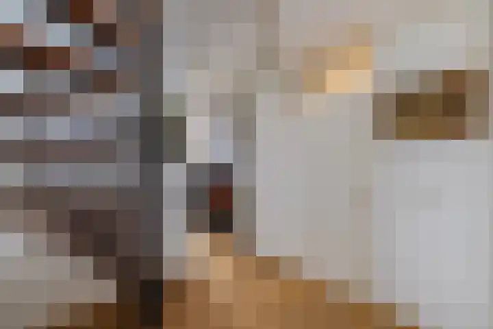 Wetering 88 Blaricum thumbnail 8