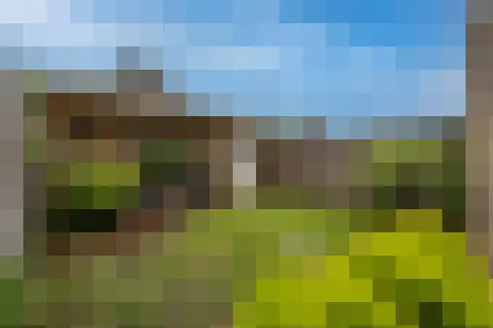 Wetering 9 's-Gravendeel thumbnail 4