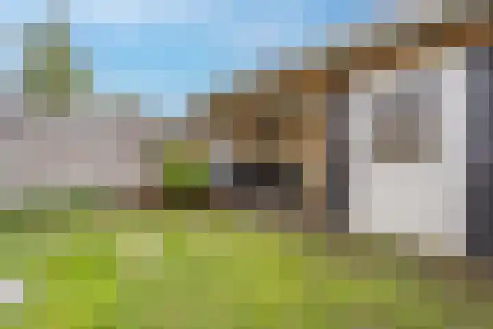 Wetering 9 's-Gravendeel thumbnail 46