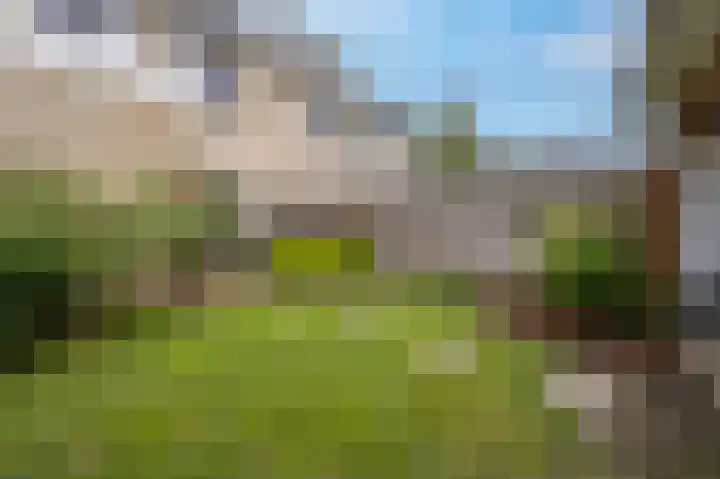 Wetering 9 's-Gravendeel thumbnail 5