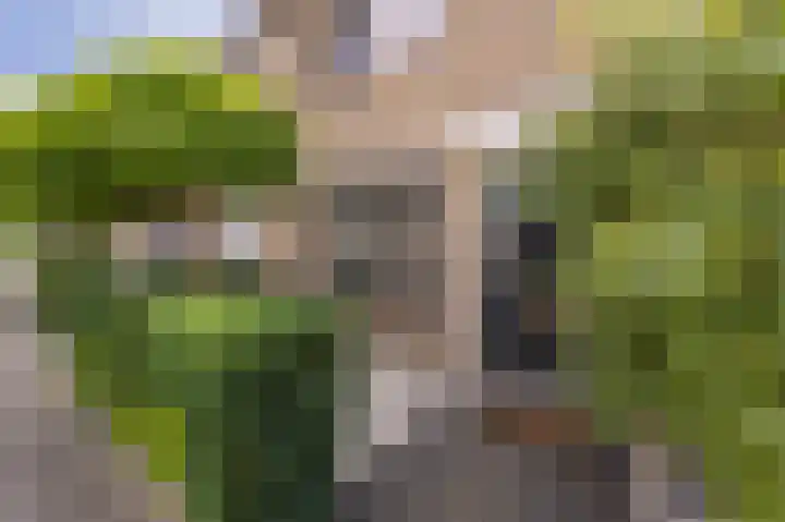 Wetering 9 's-Gravendeel thumbnail 6