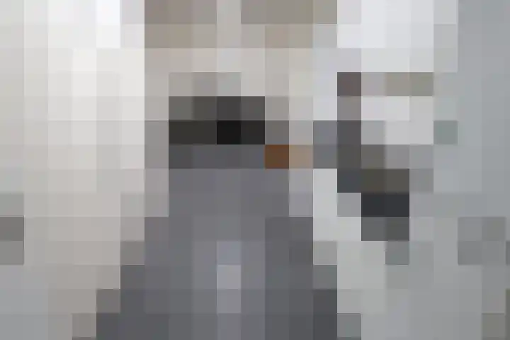Wetering 92 Vriezenveen thumbnail 13