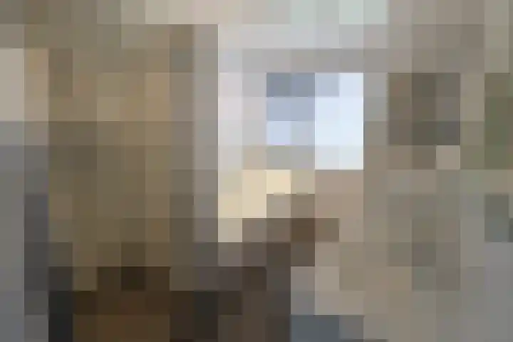 Wetering 92 Vriezenveen thumbnail 22