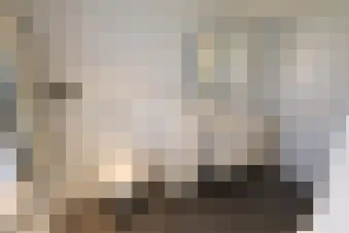 Wetering 92 Vriezenveen thumbnail 25