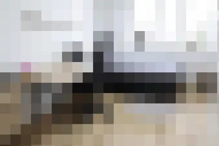 Wetering 92 Vriezenveen thumbnail 29