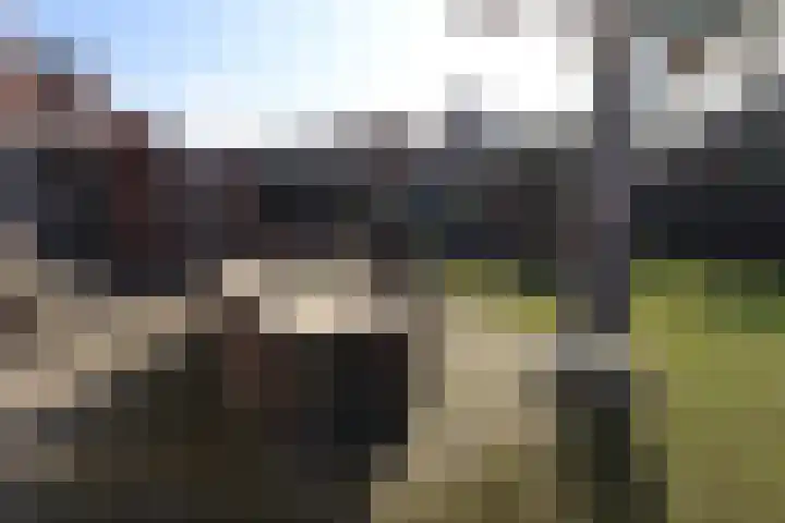 Wetering 92 Vriezenveen thumbnail 36
