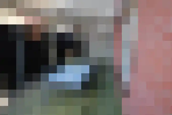 Wetering 92 Vriezenveen thumbnail 37