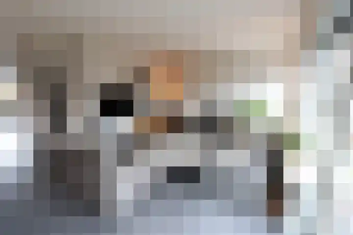 Wetering 92 Vriezenveen thumbnail 5
