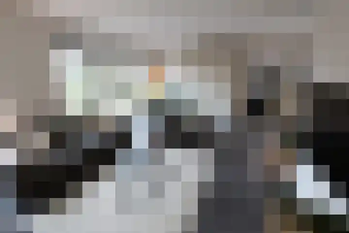 Wetering 92 Vriezenveen thumbnail 6