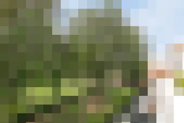 Wetering 95 Blaricum thumbnail 17