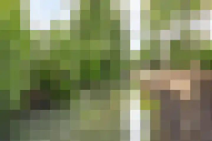 Wetering 95 Blaricum thumbnail 20