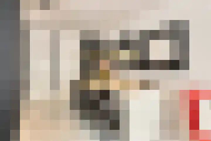Wetering 95 Blaricum thumbnail 8