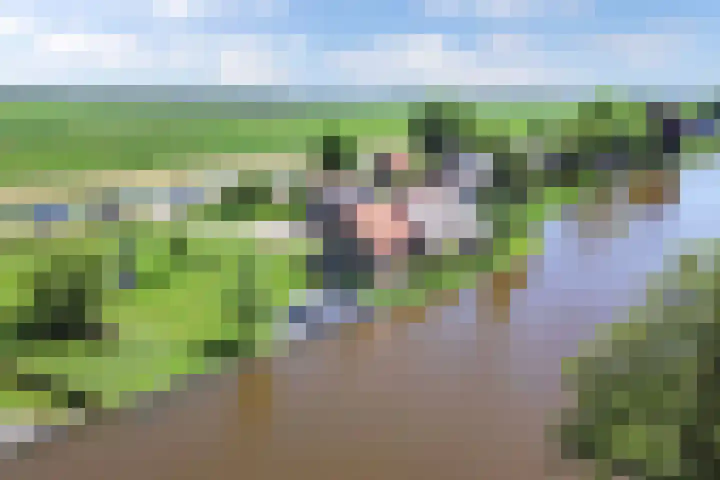 Wetering-Oost 52 Wetering thumbnail 43