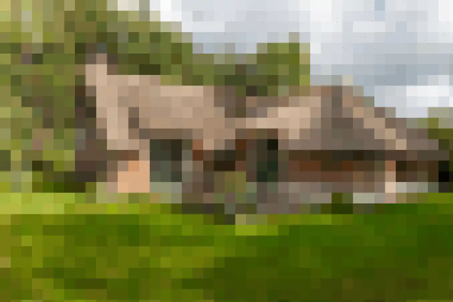 Wetering-Oost 70 Wetering thumbnail 10