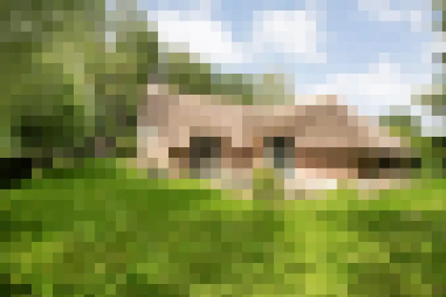 Wetering-Oost 70 Wetering thumbnail 13