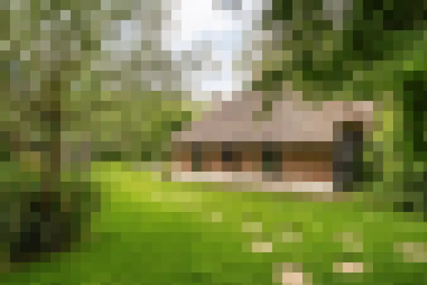 Wetering-Oost 70 Wetering thumbnail 56