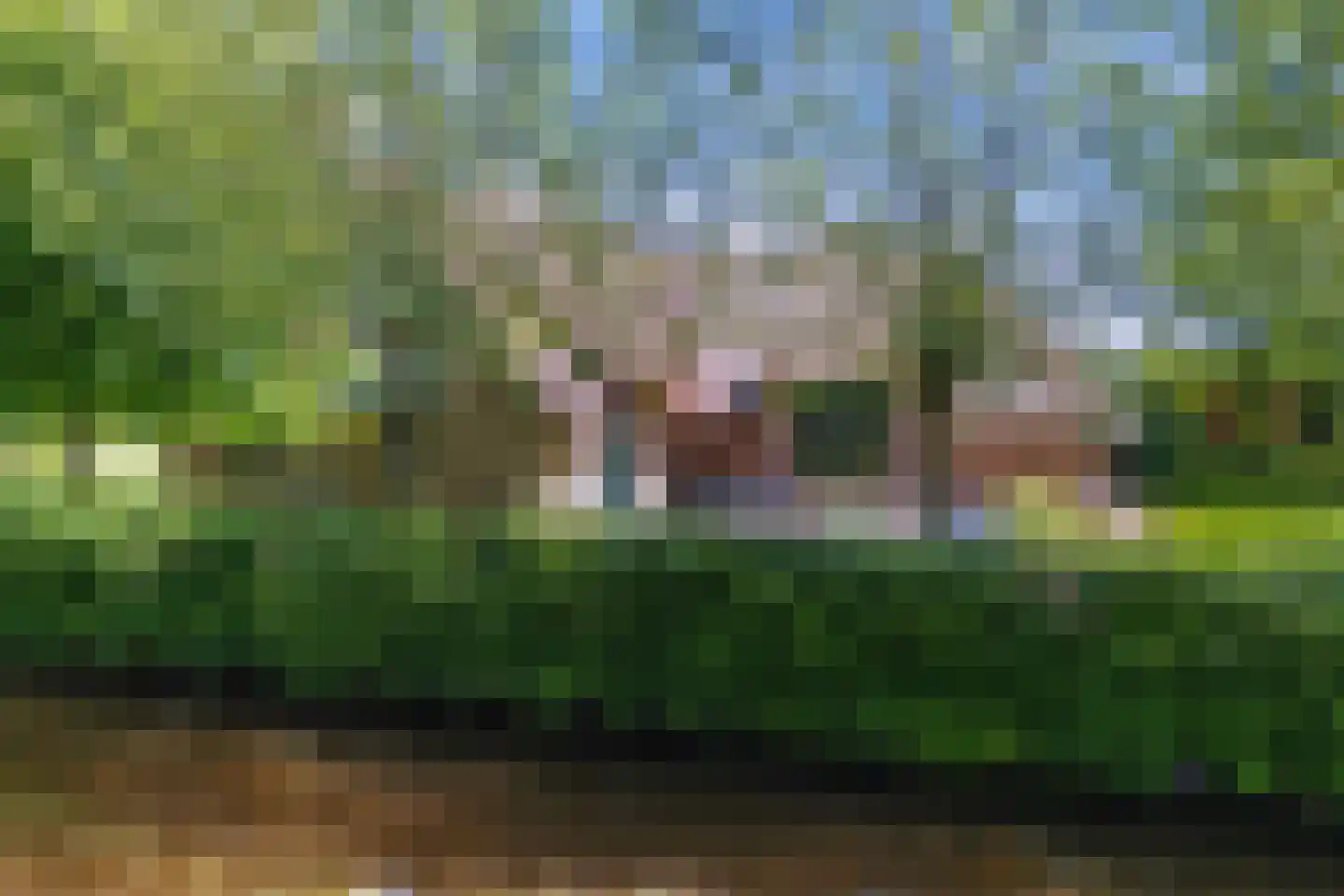 Wetering-Oost 70 Wetering thumbnail 9