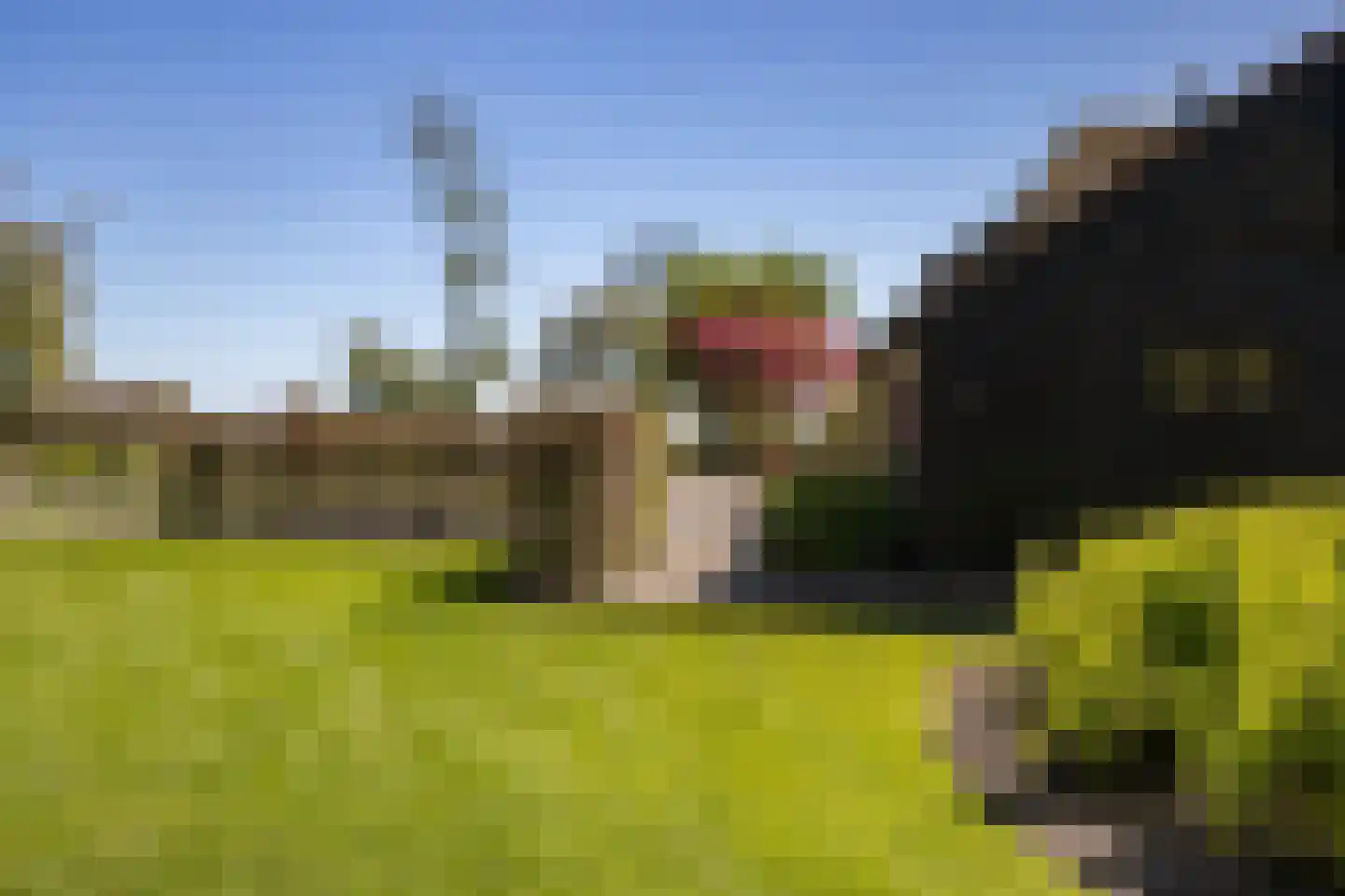 Wetering-Oost 78 Wetering thumbnail 11