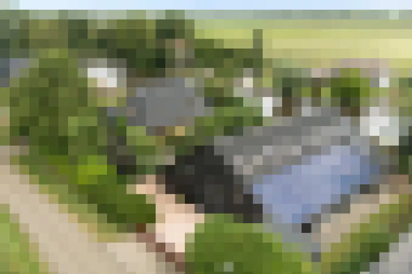 Wetering West 57 Wetering thumbnail 7
