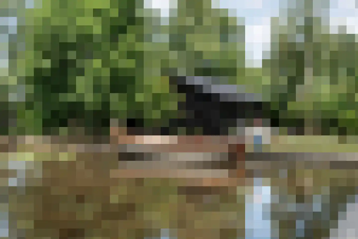 Wetering West 57 Wetering thumbnail 73
