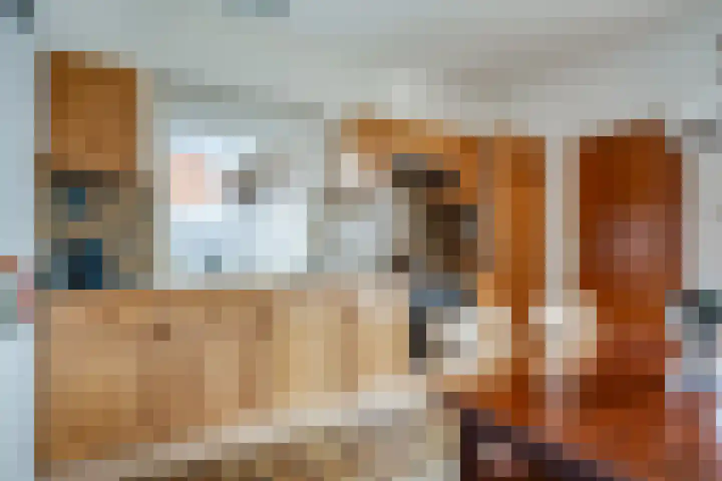 Weteringallee 24 Zwartsluis thumbnail 22