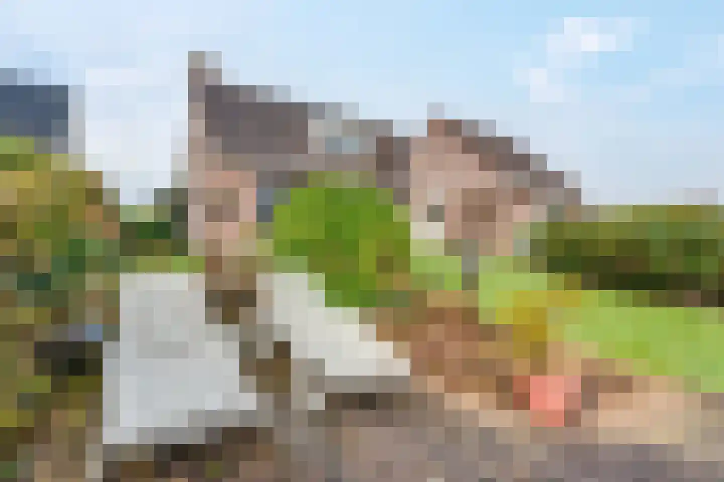 Weteringallee 24 Zwartsluis thumbnail 30