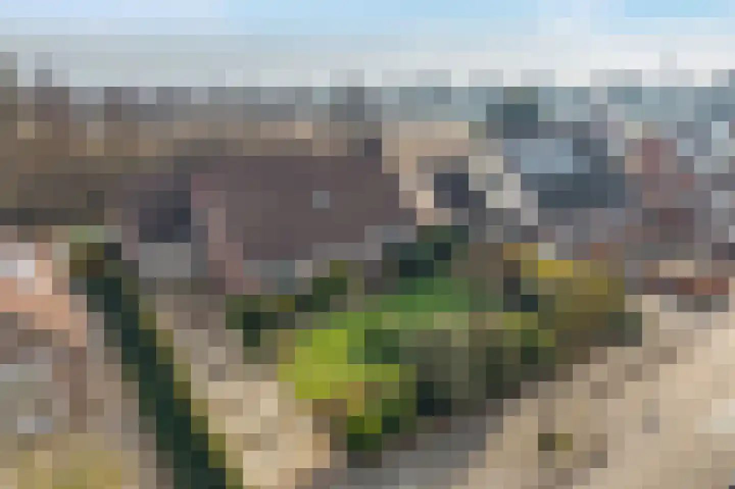 Weteringallee 24 Zwartsluis thumbnail 4