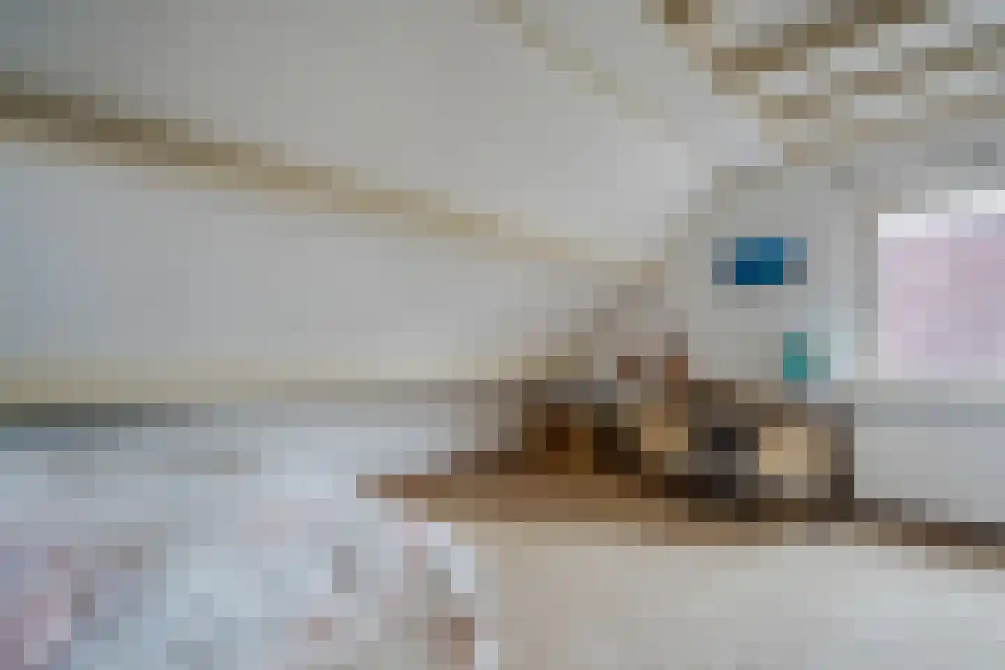 Weteringallee 24 Zwartsluis thumbnail 40