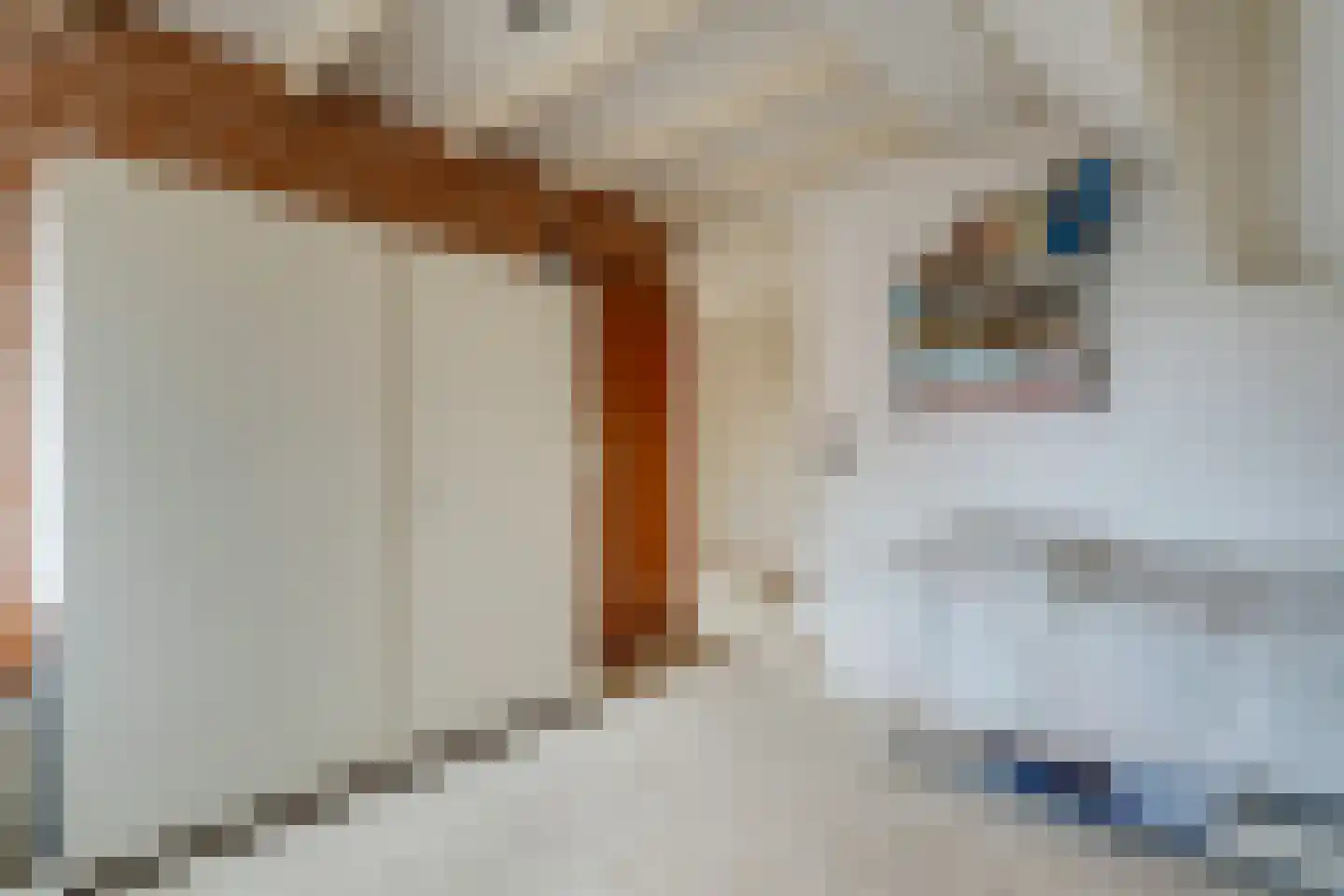 Weteringallee 24 Zwartsluis thumbnail 41