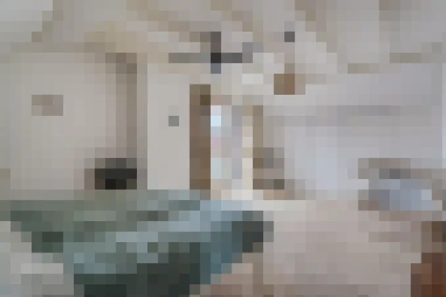 Weteringallee 24 Zwartsluis thumbnail 45