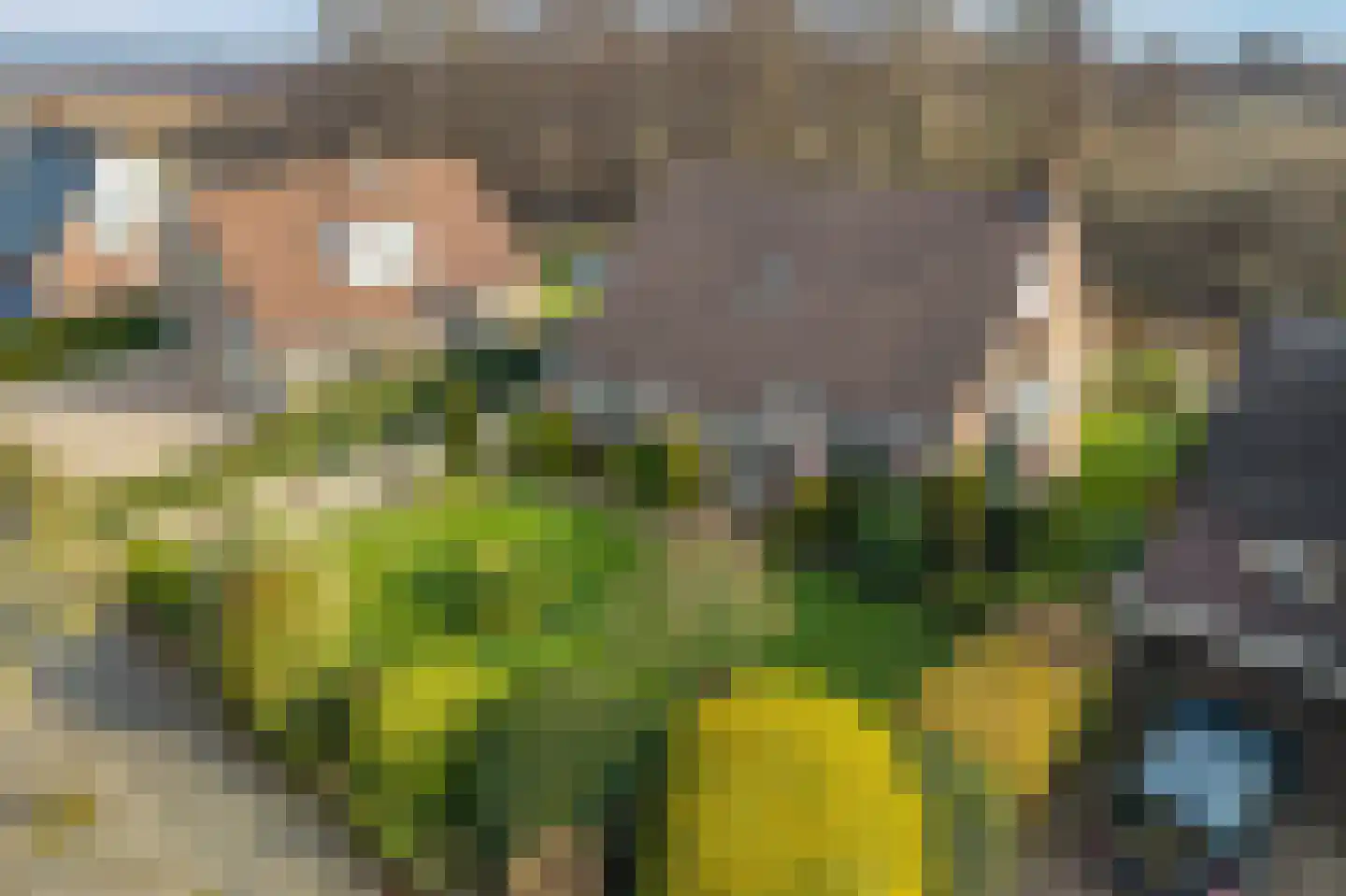 Weteringallee 24 Zwartsluis thumbnail 5