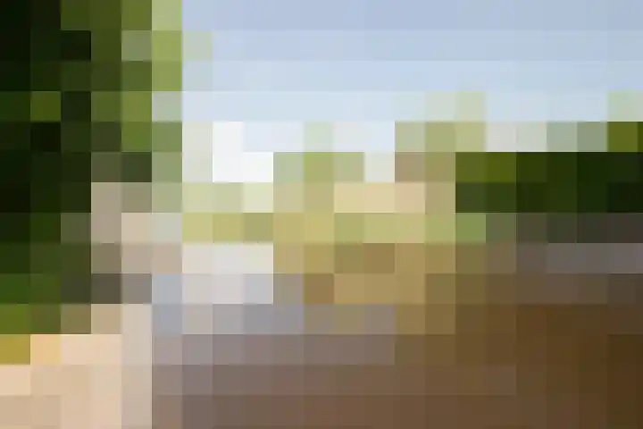 Weteringallee 8 Zwartsluis thumbnail 25