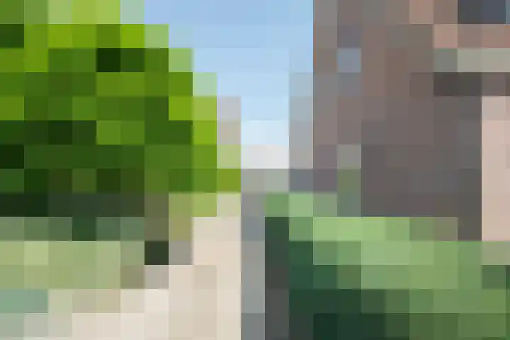 Weteringallee 8 Zwartsluis thumbnail 8