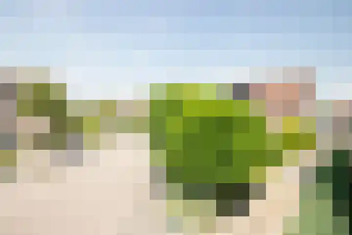 Weteringallee 8 Zwartsluis thumbnail 9