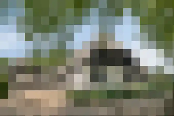 Weteringdijk 18 Epe thumbnail 107