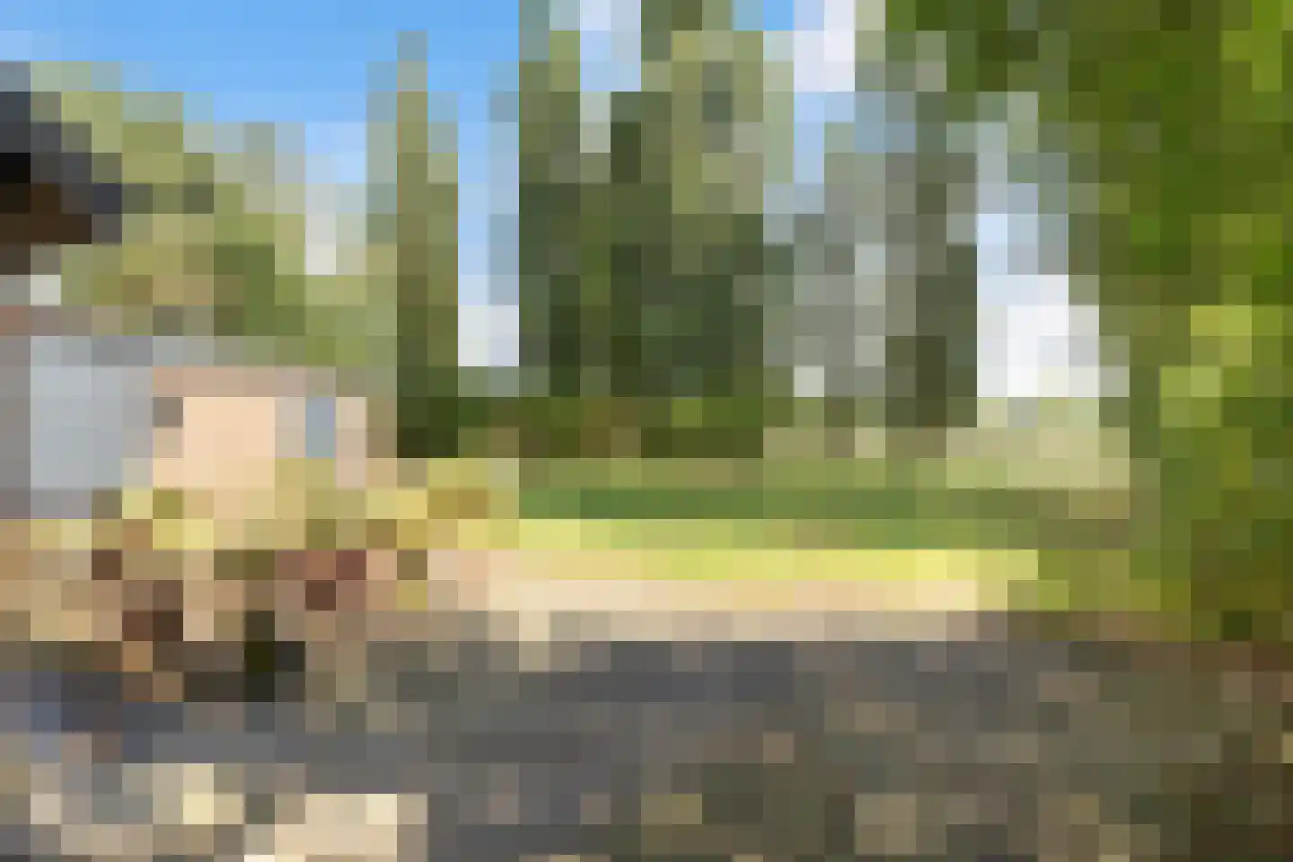 Weteringdijk 21 Epe thumbnail 31