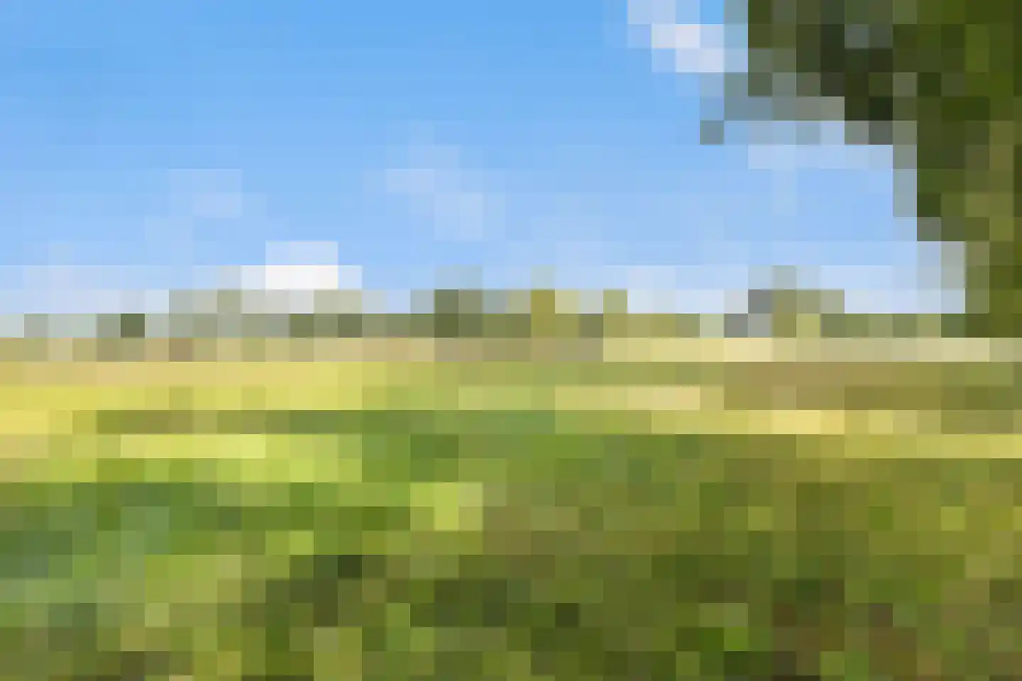 Weteringdijk 21 Epe thumbnail 36