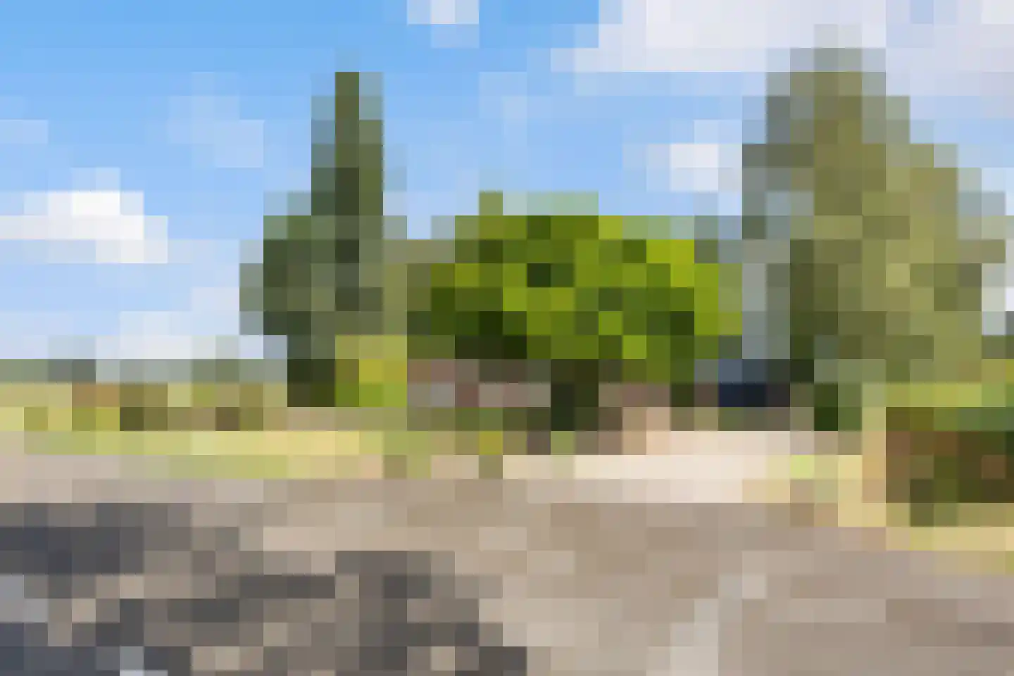 Weteringdijk 21 Epe thumbnail 38