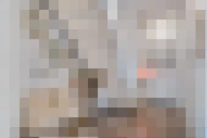 Weteringdreef 139 Zoetermeer thumbnail 12