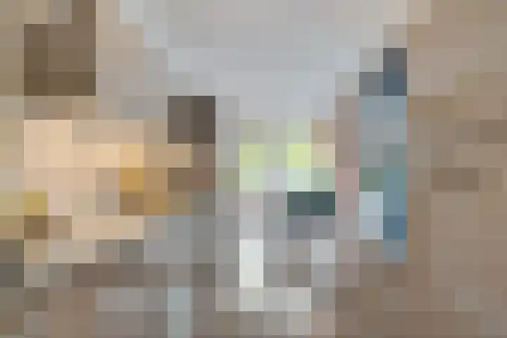 Weteringdreef 139 Zoetermeer thumbnail 25