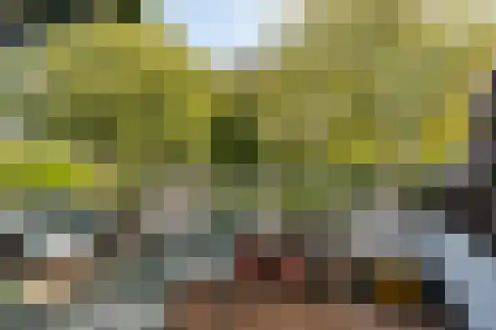 Weteringdreef 139 Zoetermeer thumbnail 29
