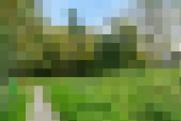Weteringdreef 139 Zoetermeer thumbnail 50