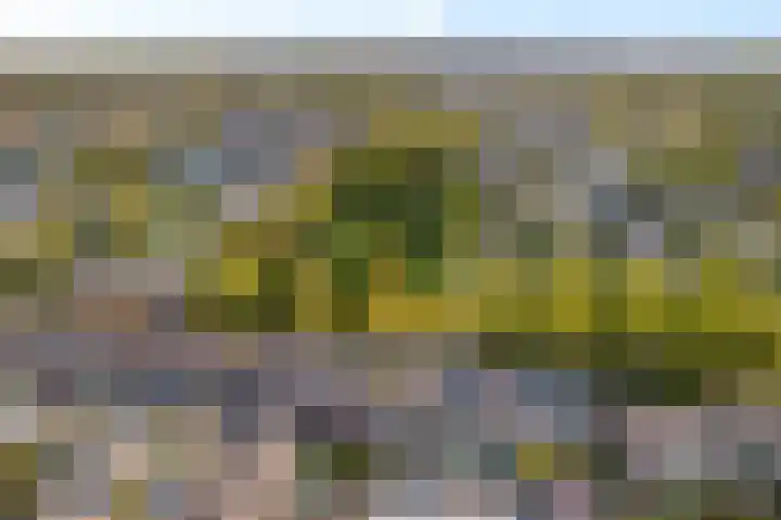 Weteringdreef 139 Zoetermeer thumbnail 51
