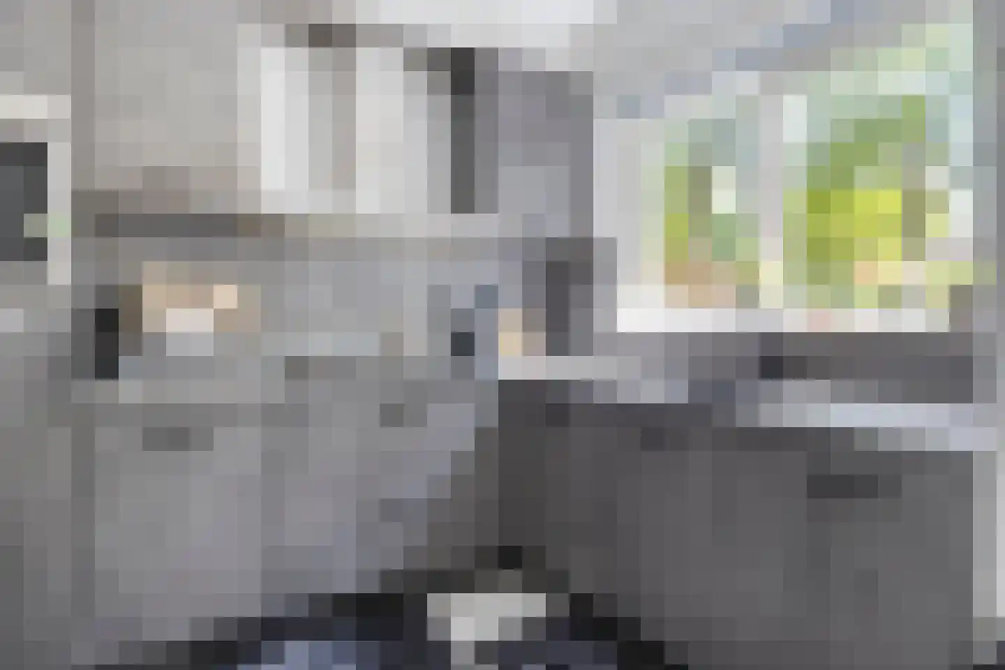 Weteringdreef 169 Zoetermeer thumbnail 19