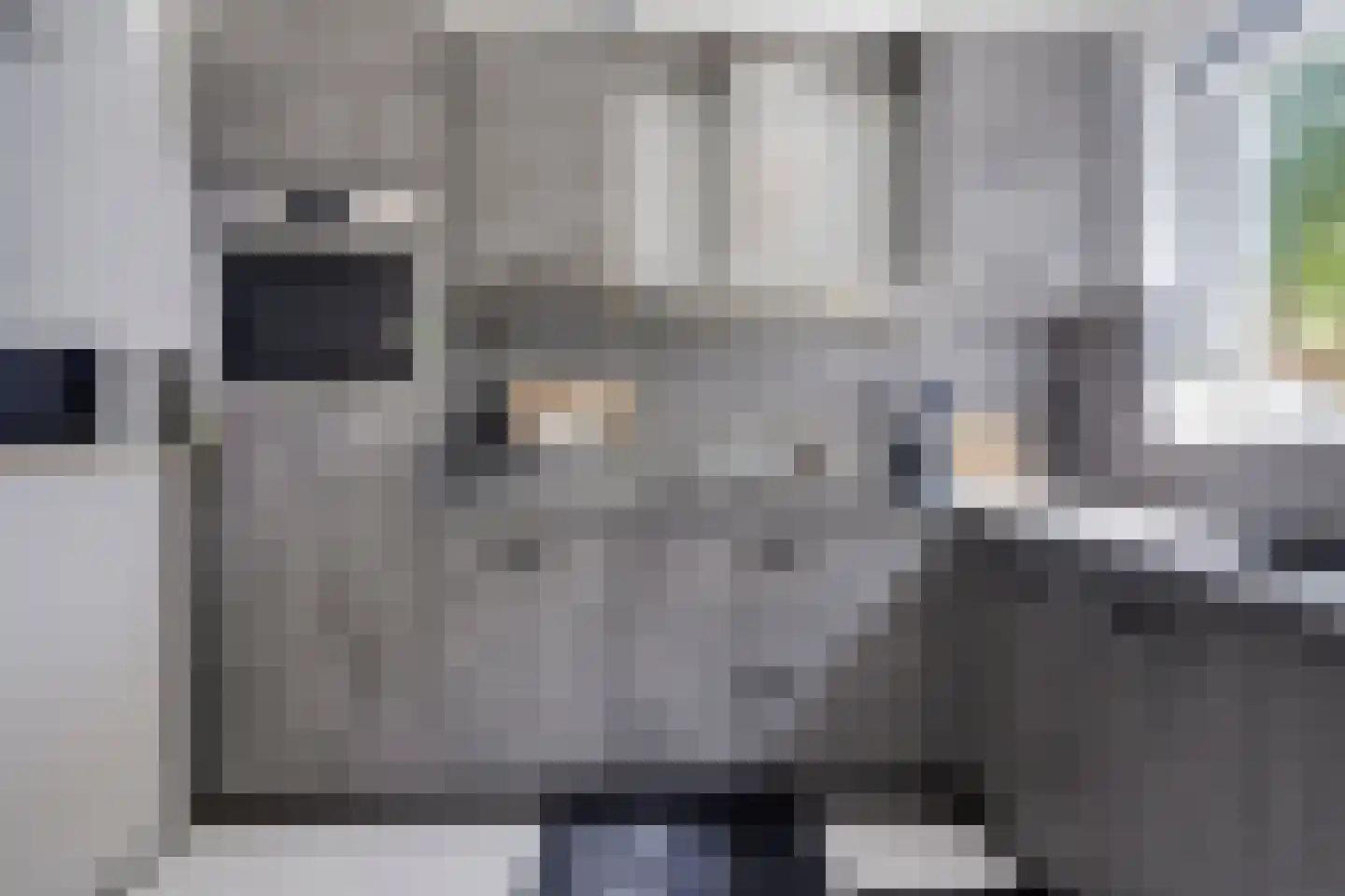 Weteringdreef 169 Zoetermeer thumbnail 20