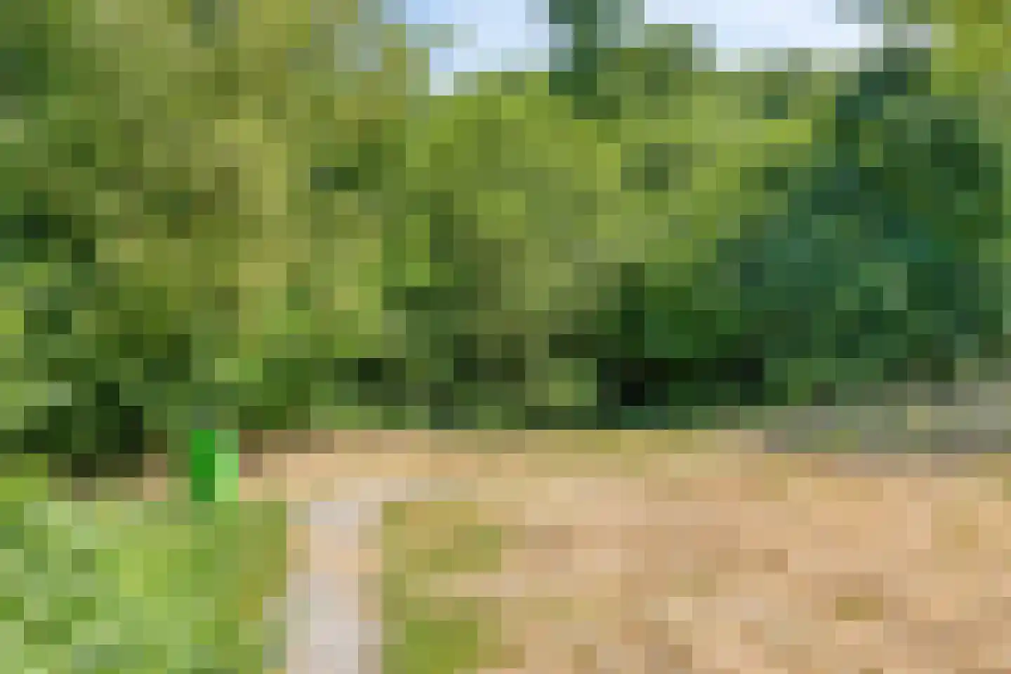 Weteringdreef 169 Zoetermeer thumbnail 43