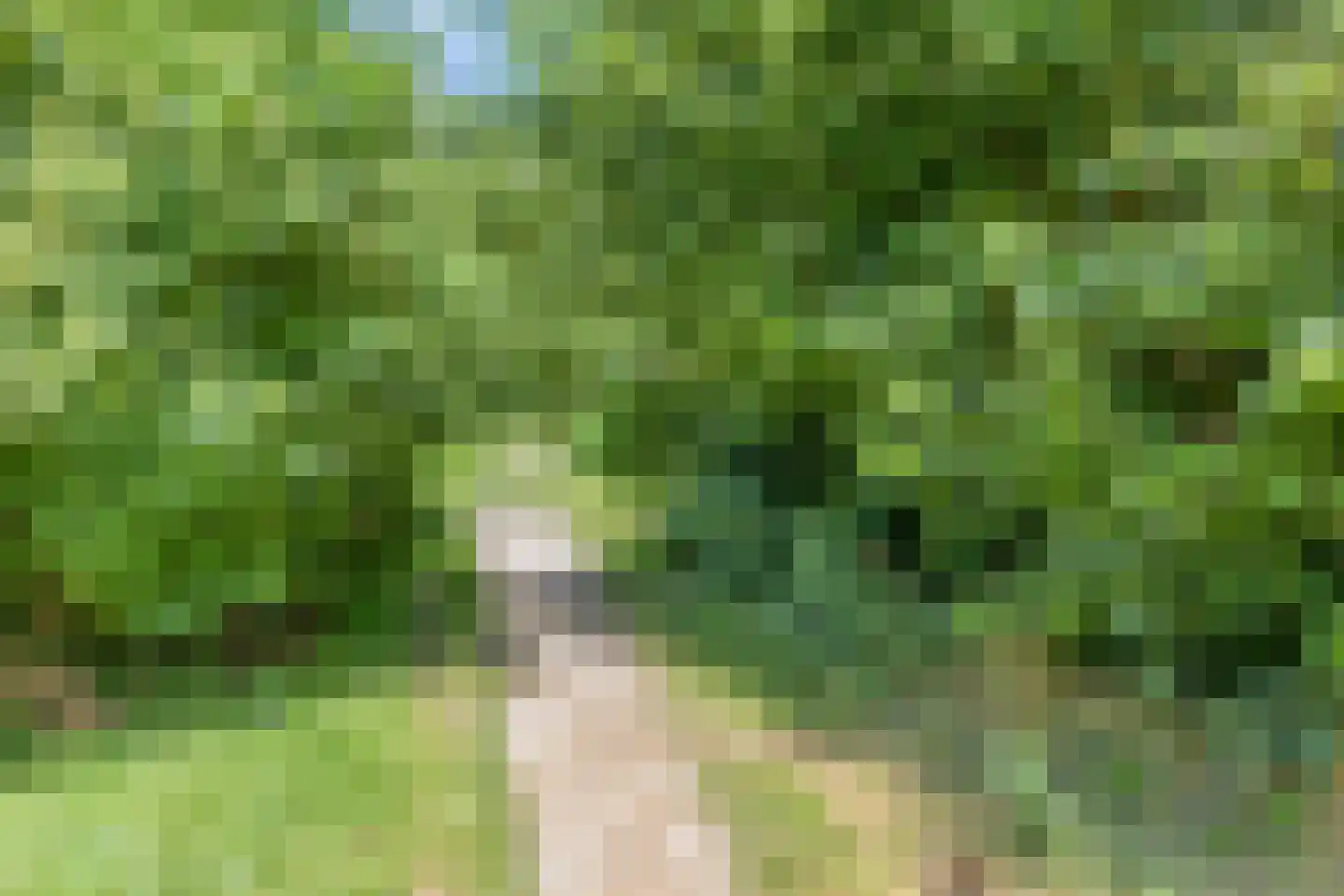Weteringdreef 169 Zoetermeer thumbnail 44