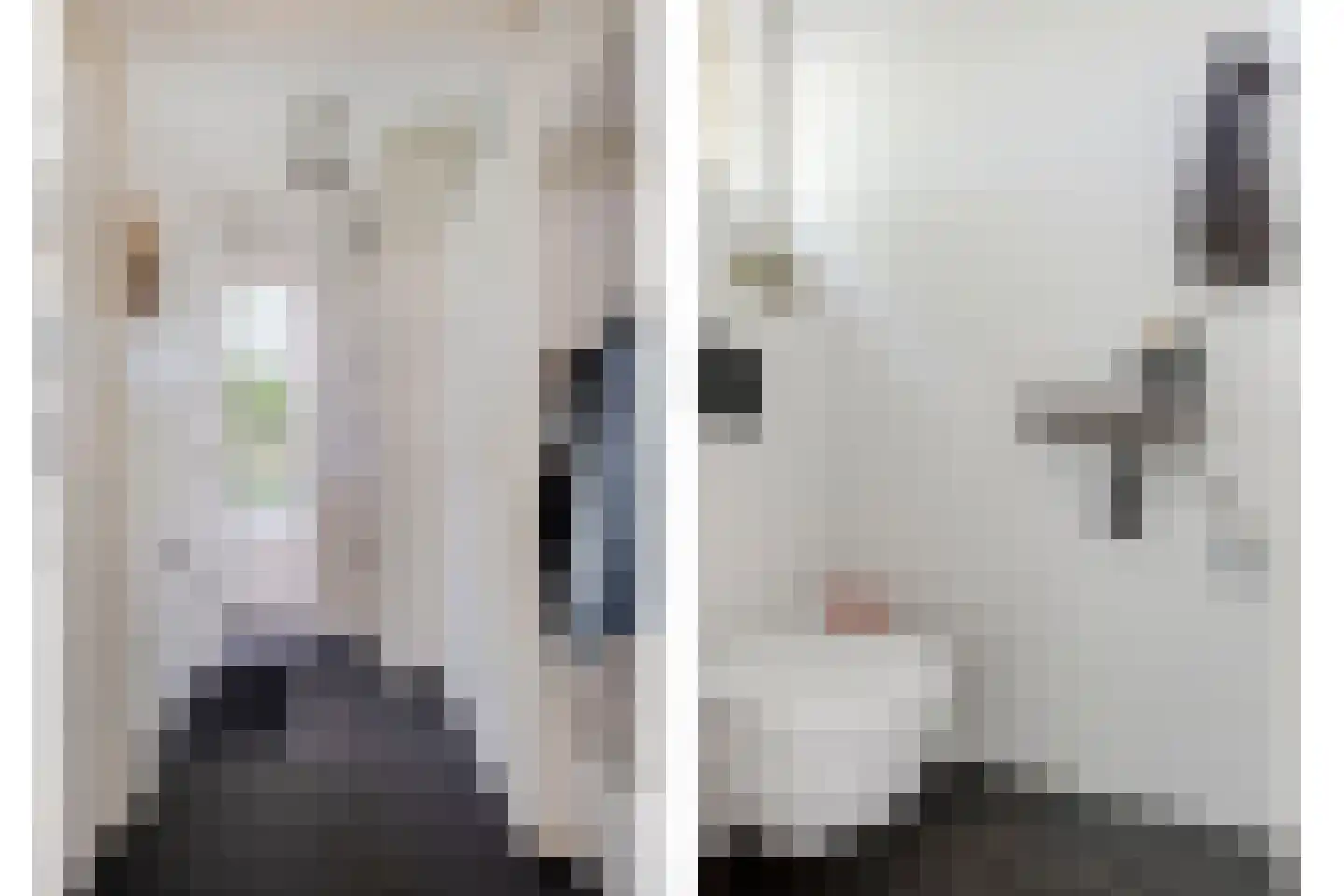 Weteringdreef 169 Zoetermeer thumbnail 8